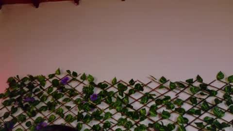 Snapshot of alice_rous21 chatting on October 23, 2025, 1:54 pm alice_rous21 online show from October 23, 2025, 1:54 pm