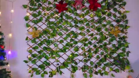 Snapshot of alice_rous21 chatting on November 12, 2025, 5:13 pm alice_rous21 online show from November 12, 2025, 5:13 pm