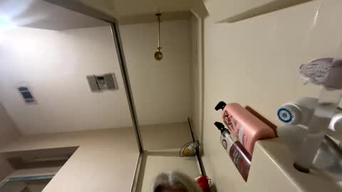 Alices Curiosity online show from December 17, 2024, 6:31 pm