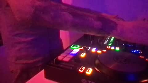 busco rockera online show from March 11, 2025, 12:00 am