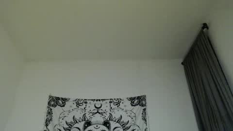 Snapshot of alinawoolf_ chatting on February 26, 2025, 5:20 am  Ali  online show from February 26, 2025, 5:20 am