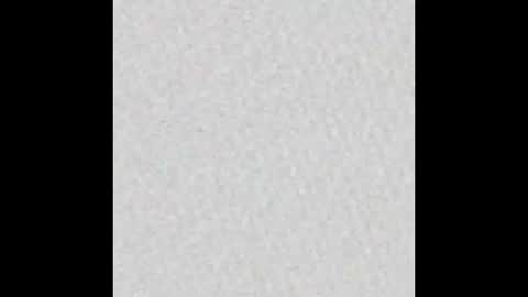 Alisse online show from November 14, 2025, 12:04 pm