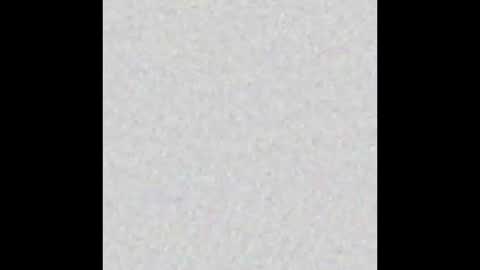 Alisse online show from November 20, 2025, 12:05 pm