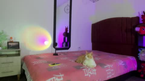 Alisson IG alisson zafiro27 online show from December 17, 2024, 9:07 am