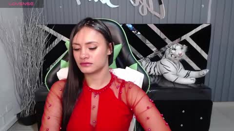 Snapshot of allisson_a chatting on January 17, 2025, 6:47 am Allisson online show from January 17, 2025, 6:47 am