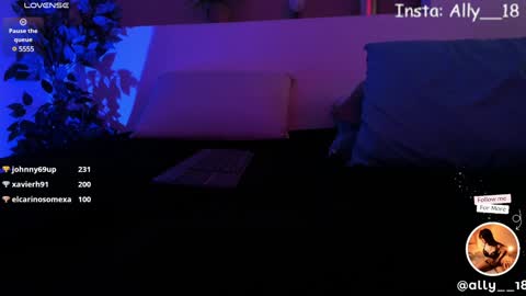 Snapshot of ally_addams chatting on December 31, 2024, 9:53 am Ally online show from December 31, 2024, 9:53 am