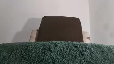 Snapshot of alotofcream chatting on October 11, 2025, 5:17 am alotofcream4u online show from October 11, 2025, 5:17 am