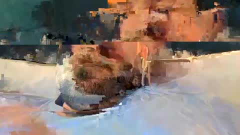 alpachino7777 online show from February 19, 2025, 5:27 pm