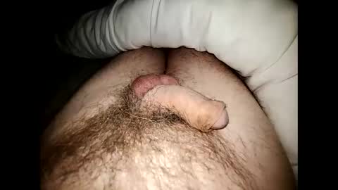 Snapshot of altirando3 chatting on December 23, 2024, 11:49 pm gordy2263 online show from December 23, 2024, 11:49 pm