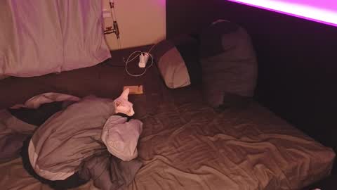 Snapshot of alvin__main chatting on December 20, 2024, 1:36 am Alvin Puska -- online show from December 20, 2024, 1:36 am