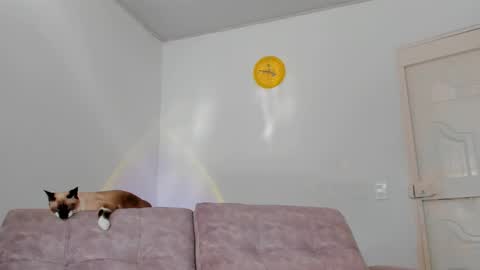 Tammy online show from February 15, 2025, 8:54 pm