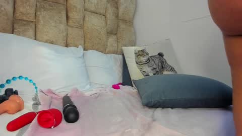 Snapshot of amatista__smith chatting on November 12, 2025, 9:03 pm AMATISTA online show from November 12, 2025, 9:03 pm