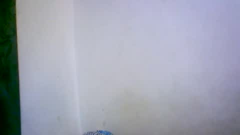 Snapshot of ambar166 chatting on December 17, 2025, 11:00 pm ambar166 online show from December 17, 2025, 11:00 pm