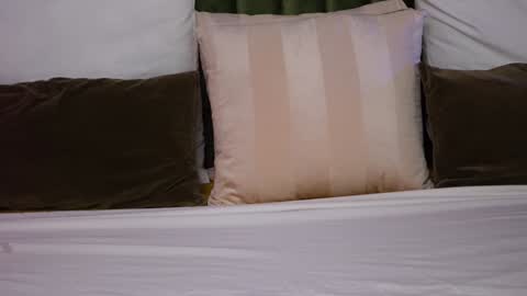 Amelia online show from December 2, 2024, 7:58 am