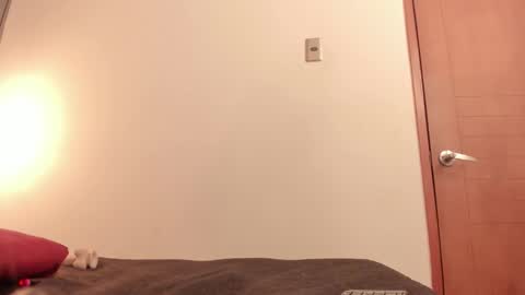 ammytorrez_ online show from September 11, 2025, 11:32 am