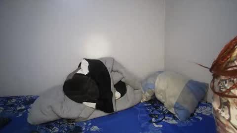 shantel online show from November 14, 2025, 7:29 am