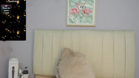 Amy online show from December 3, 2025, 1:53 pm