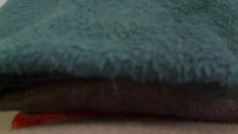 Snapshot of anaiserebel chatting on January 4, 2025, 7:34 am anaiserebel online show from January 4, 2025, 7:34 am