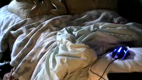 Snapshot of analwhore666 chatting on January 18, 2025, 4:53 pm kinkylilanalslut online show from January 18, 2025, 4:53 pm