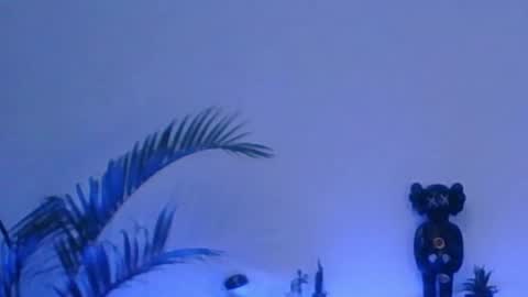 andersonZ98 online show from December 17, 2025, 1:00 am