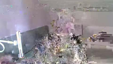 Andorphin online show from January 6, 2025, 12:24 pm