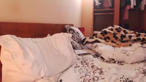 Snapshot of andrasweetie chatting on January 27, 2025, 8:29 am Andra online show from January 27, 2025, 8:29 am