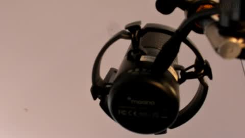      online show from March 11, 2025, 3:56 pm