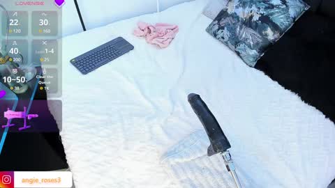 angiee roses online show from December 14, 2024, 8:02 am