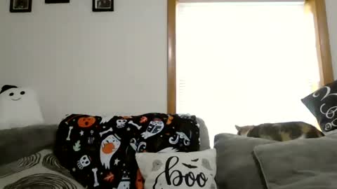 anne online show from October 28, 2025, 1:47 pm