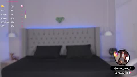 Snapshot of anne_cox_ chatting on November 29, 2025, 11:57 am annex online show from November 29, 2025, 11:57 am