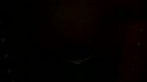 annecharlie online show from November 30, 2025, 7:56 am