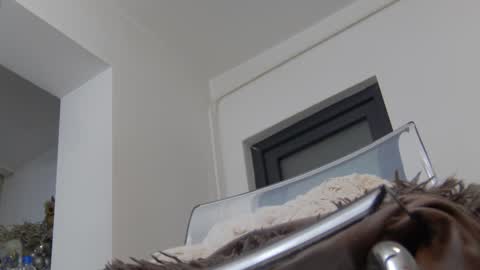 Anna online show from December 2, 2024, 8:41 am