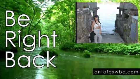 Snapshot of antofoxwbc chatting on January 24, 2025, 10:53 am Anto online show from January 24, 2025, 10:53 am