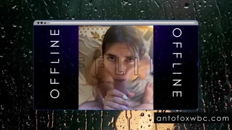 Snapshot of antofoxwbc chatting on February 4, 2025, 5:53 am Anto online show from February 4, 2025, 5:53 am
