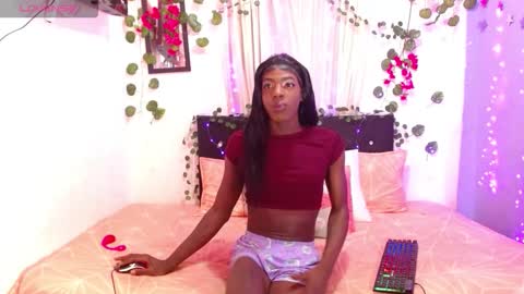 antonella747158 online show from November 28, 2025, 8:17 am