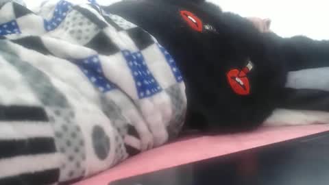 Snapshot of anysophy chatting on November 17, 2025, 8:47 pm SOFFIA online show from November 17, 2025, 8:47 pm