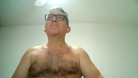 Snapshot of apixaba chatting on February 21, 2025, 10:15 pm furry bear online show from February 21, 2025, 10:15 pm