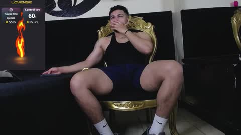 Snapshot of ariies13 chatting on December 3, 2025, 11:52 am Ariies13 online show from December 3, 2025, 11:52 am