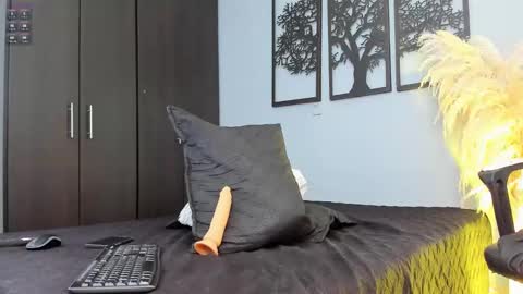 Snapshot of aron_bulgarelli_ chatting on January 10, 2025, 2:14 am Aron online show from January 10, 2025, 2:14 am