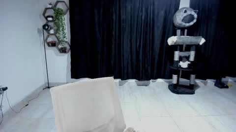 Snapshot of artemis_020 chatting on September 11, 2025, 1:06 am FENIX online show from September 11, 2025, 1:06 am