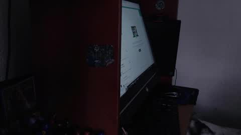 Snapshot of ash_v1 chatting on February 11, 2025, 6:44 pm Ash online show from February 11, 2025, 6:44 pm