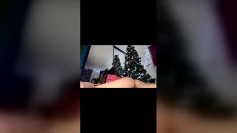 Snapshot of asian_babeee chatting on December 2, 2025, 1:00 am asian_babeee online show from December 2, 2025, 1:00 am