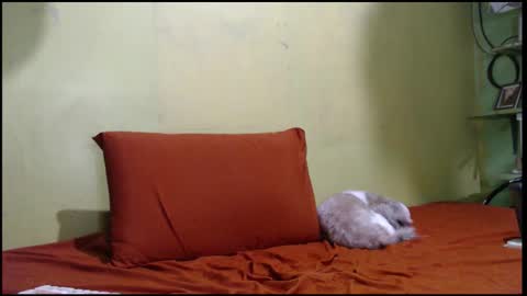 Mhay online show from September 26, 2025, 5:55 am