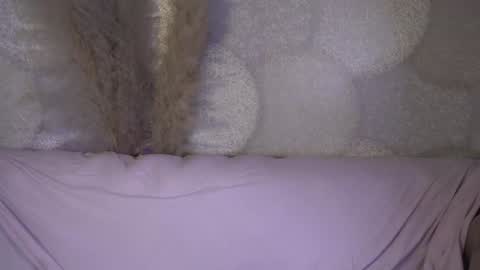 Snapshot of astra_lis chatting on December 10, 2024, 6:28 pm Astra online show from December 10, 2024, 6:28 pm