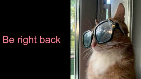 Snapshot of astra_lis chatting on February 17, 2025, 10:40 am Astra online show from February 17, 2025, 10:40 am