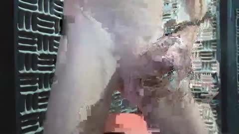 aussieraz online show from December 16, 2024, 8:20 am