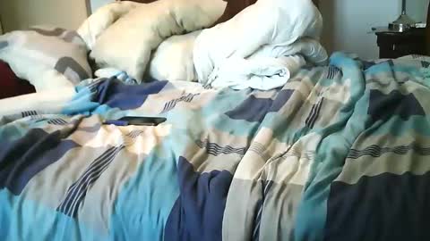 Austin online show from October 15, 2025, 10:26 am