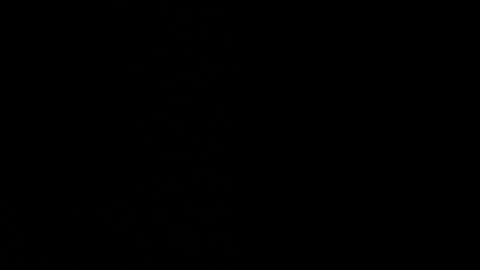 Ayden Miller online show from December 14, 2024, 1:49 pm