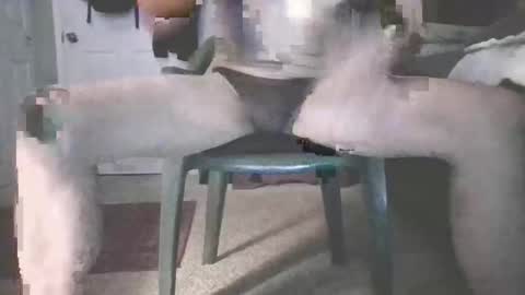 Snapshot of b_johnson420 chatting on November 16, 2025, 8:42 am bjohnson420 online show from November 16, 2025, 8:42 am