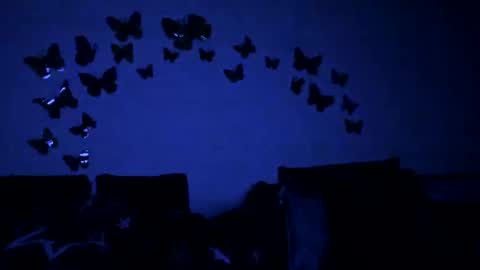 Gina online show from February 12, 2025, 6:09 pm